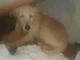 Nao sei o nome