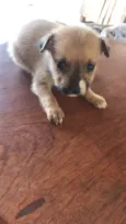 Lili
