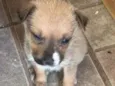 Lili