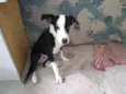princesa