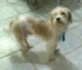 Billy