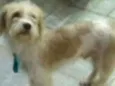 Billy