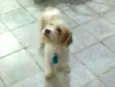 Billy