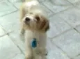 Billy