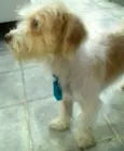 Billy