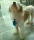 Billy 