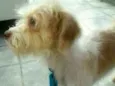 Billy