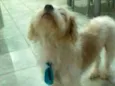 Billy