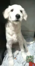 Kira 