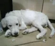 Kira 
