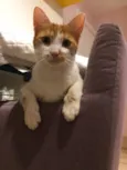 Mel