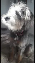 Kira