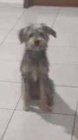 Kira