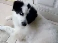 Luck
