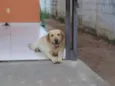 Marley luiz