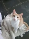 Bob