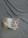 Bob