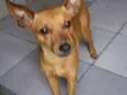 Teco