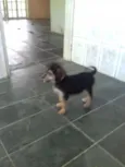 Teka