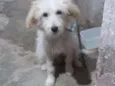 Billy 