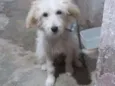 Billy