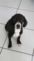 Esperança