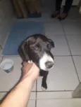 Esperança