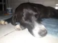 Esperança