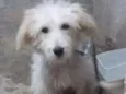 Billy 