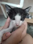 Tony