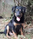 Zeca