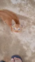 Luck