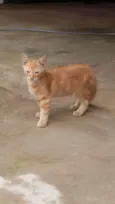 Luck