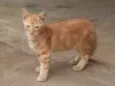 Luck