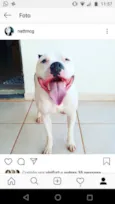 Baldur