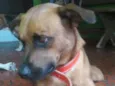 Doritos