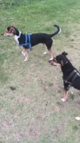 Tito e Max