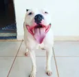 Baldur