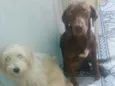 Bel e Lua 