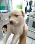 Thor, Zeus e Kiara