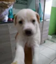 Thor, Zeus e Kiara