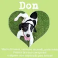 Don