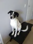 Don