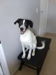 Don