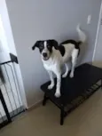 Don
