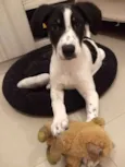 Don