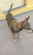 Nick