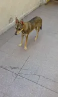 Nick