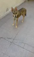 Nick