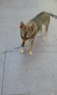 Nick